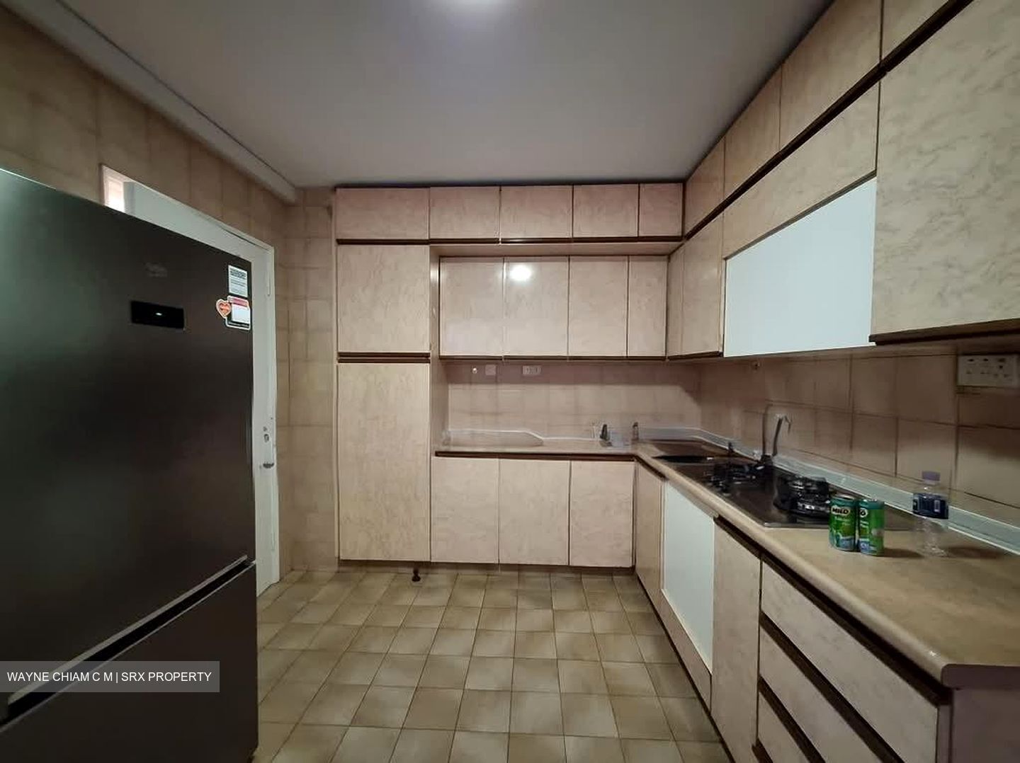 The Cairnhill (D9), Condominium #559695141